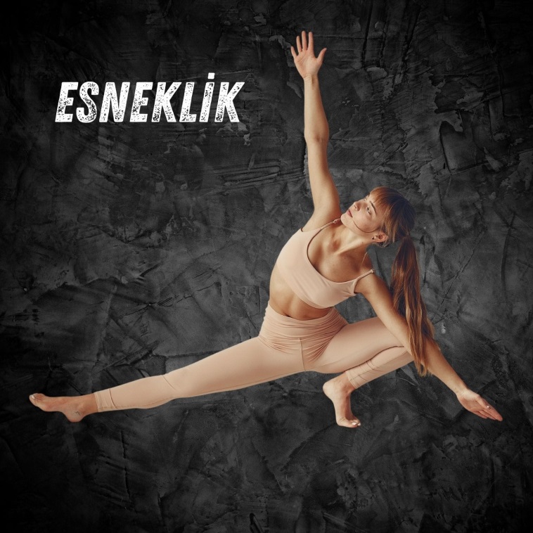 Ataşehir yetişkin stretching dersi